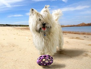 betty on the beach